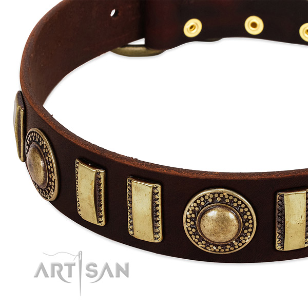 Reliable full grain leather dog collar with reliable buckle