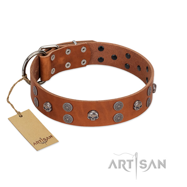 Soft to touch genuine leather dog collar with studs for handy use