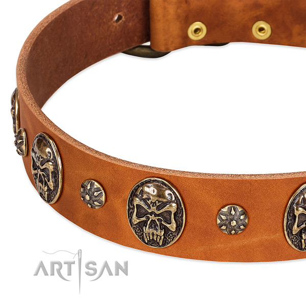 Rust resistant fittings on full grain natural leather dog collar for your doggie