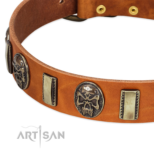 Durable studs on full grain genuine leather dog collar for your dog