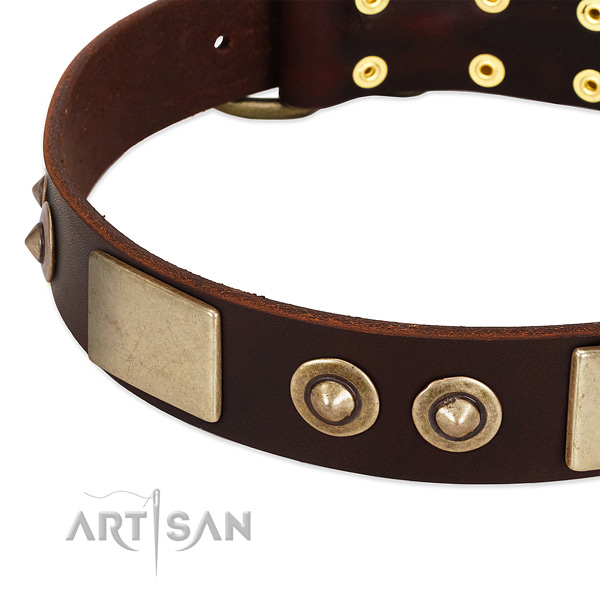 Reliable fittings on full grain natural leather dog collar for your pet