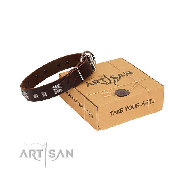 Top notch leather collar with adornments for your doggie