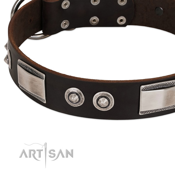 Stylish design full grain leather collar for your pet