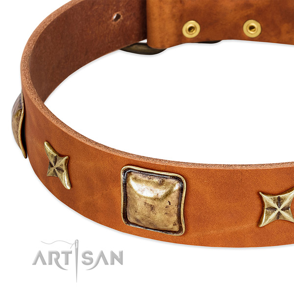 Rust-proof decorations on leather dog collar for your pet