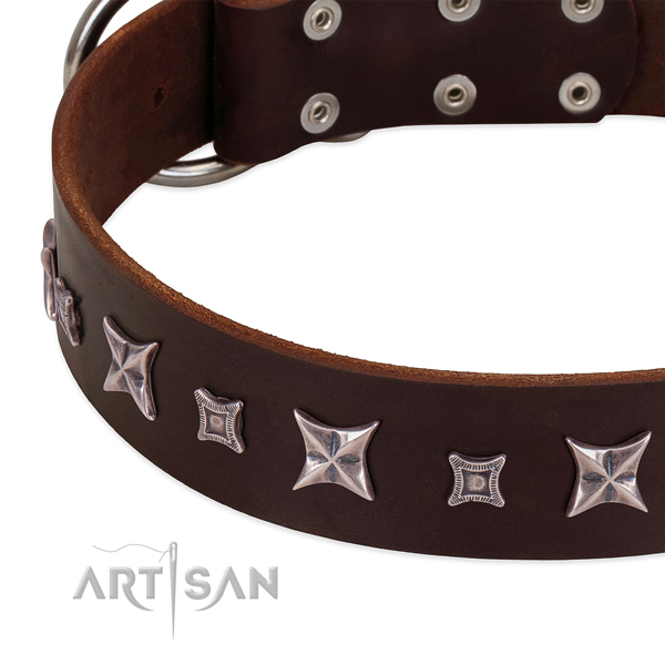 Trendy dog collar of full grain leather with embellishments