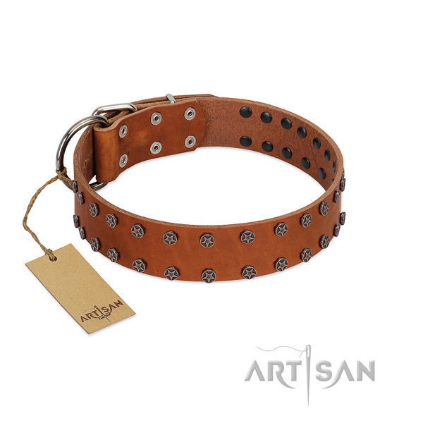 Everyday walking natural leather dog collar with stylish embellishments