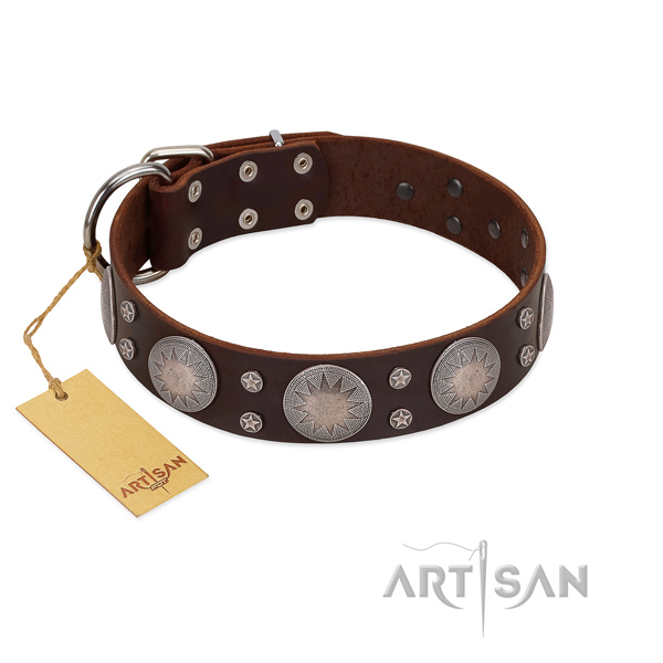 Significant adorned full grain leather dog collar