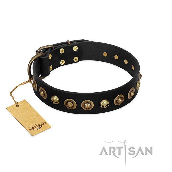 Genuine leather collar with exquisite embellishments for your canine