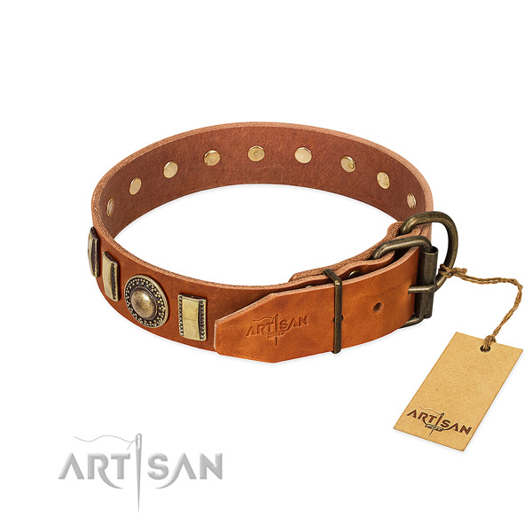 Designer natural leather dog collar with corrosion proof buckle