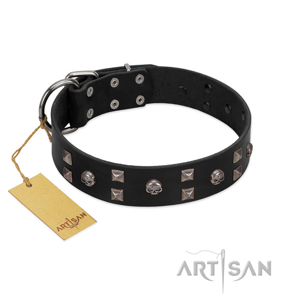 Daily walking dog collar of natural leather with incredible decorations