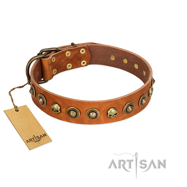 Natural leather collar with inimitable embellishments for your canine