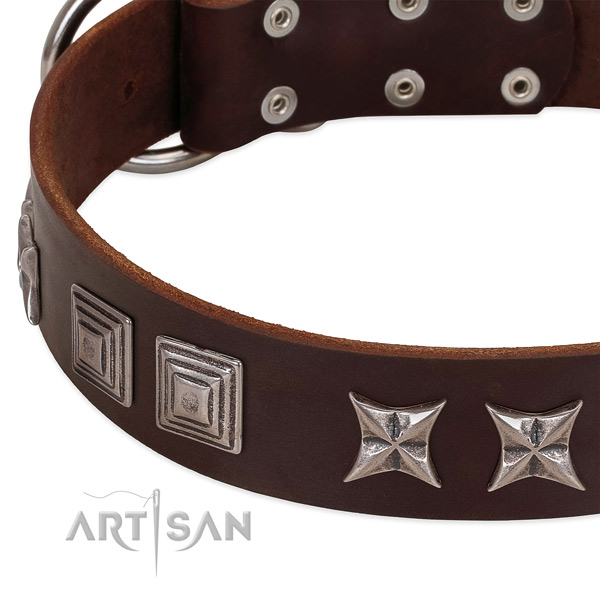 Stylish walking full grain natural leather dog collar with trendy adornments