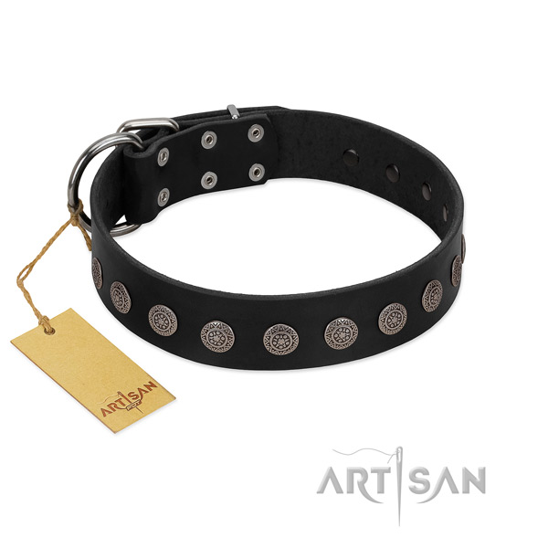 Stylish design leather collar for your four-legged friend