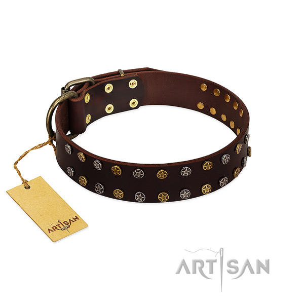 Walking soft to touch full grain leather dog collar with studs