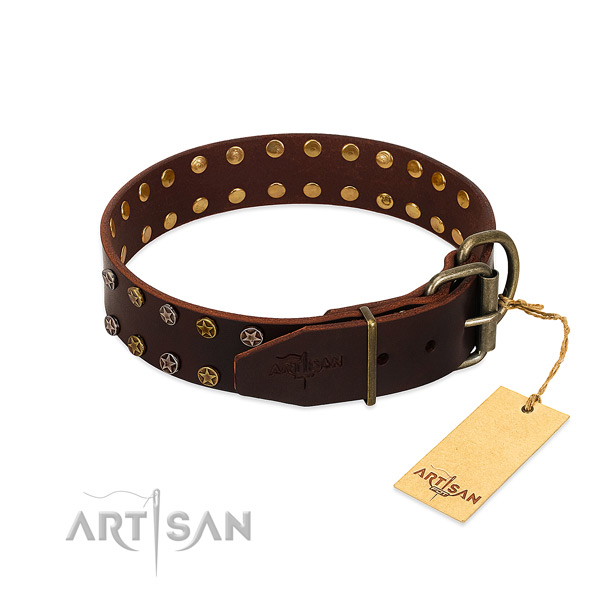 Everyday walking full grain leather dog collar with remarkable adornments