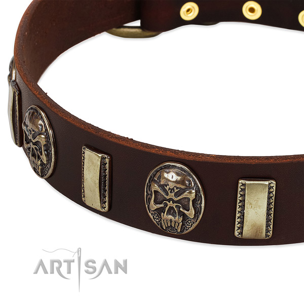 Rust resistant adornments on full grain genuine leather dog collar for your canine