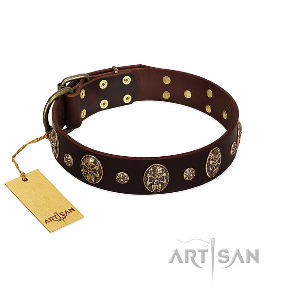 Exceptional genuine leather collar for your canine