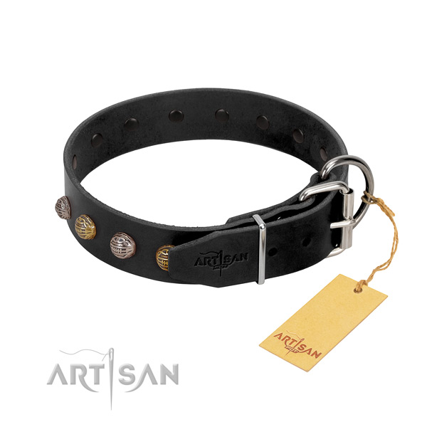 Unusual natural leather dog collar with durable traditional buckle