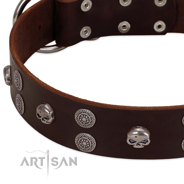 Top notch full grain leather dog collar with impressive studs