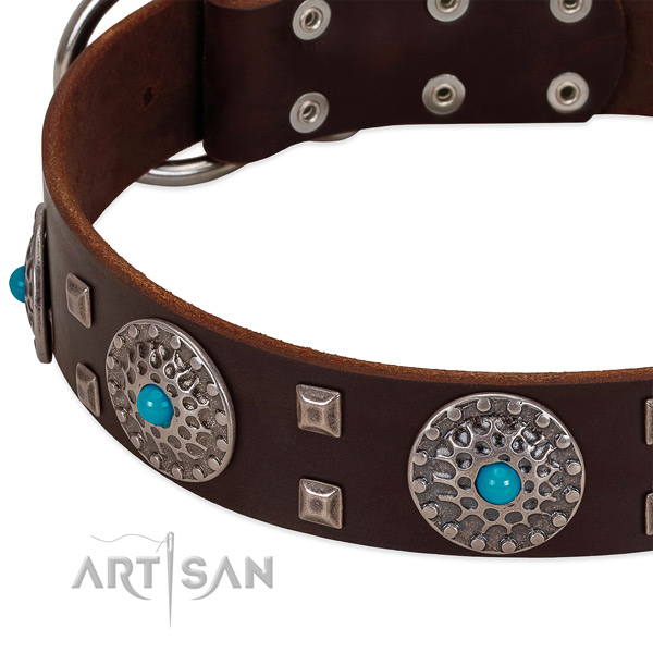 Quality full grain leather dog collar with unusual decorations