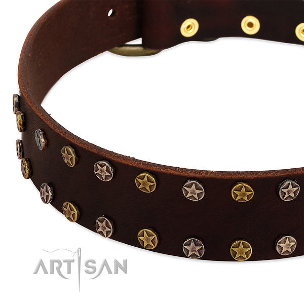 Daily walking full grain genuine leather dog collar with designer studs