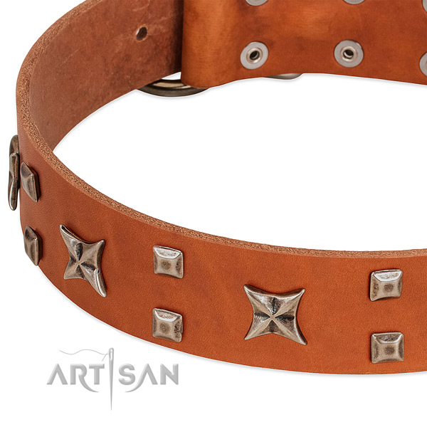 Gentle to touch full grain leather dog collar with adornments for daily use
