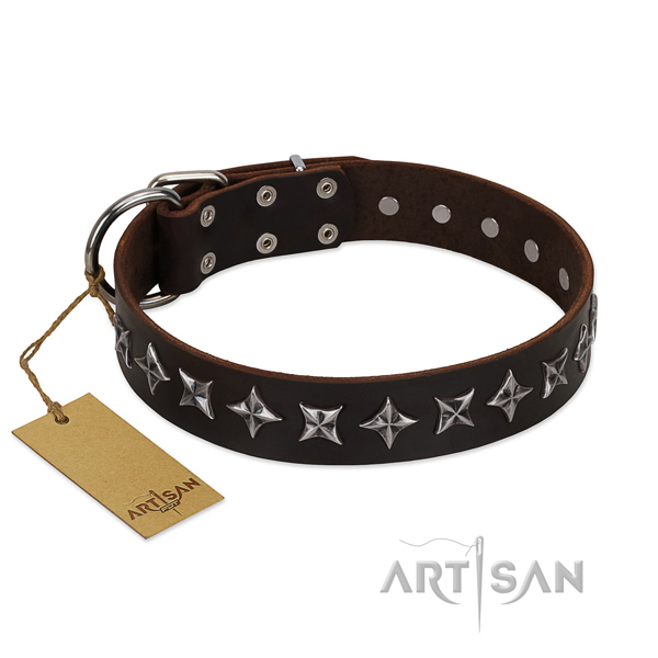 Basic training dog collar of durable genuine leather with embellishments