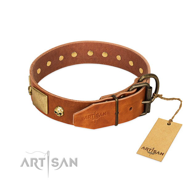 Top rate full grain leather dog collar with rust resistant studs