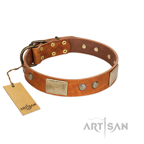Easy adjustable natural genuine leather dog collar for basic training your four-legged friend