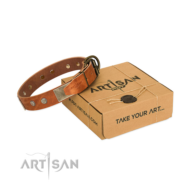Reliable adornments on dog collar for easy wearing