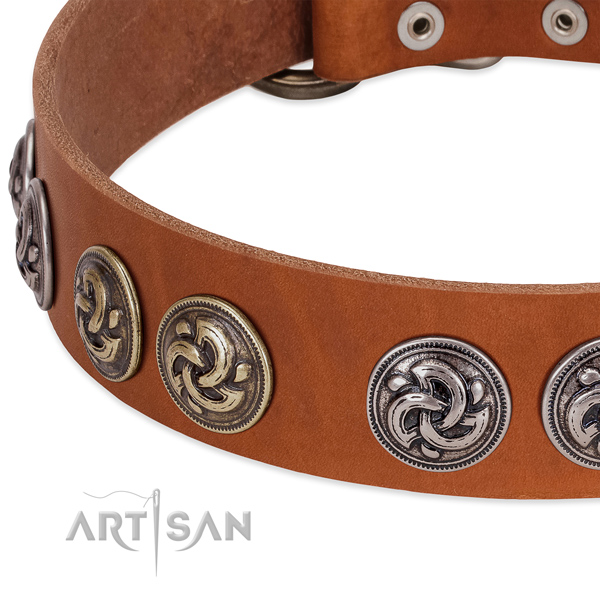 Significant full grain leather collar for your four-legged friend stylish walks
