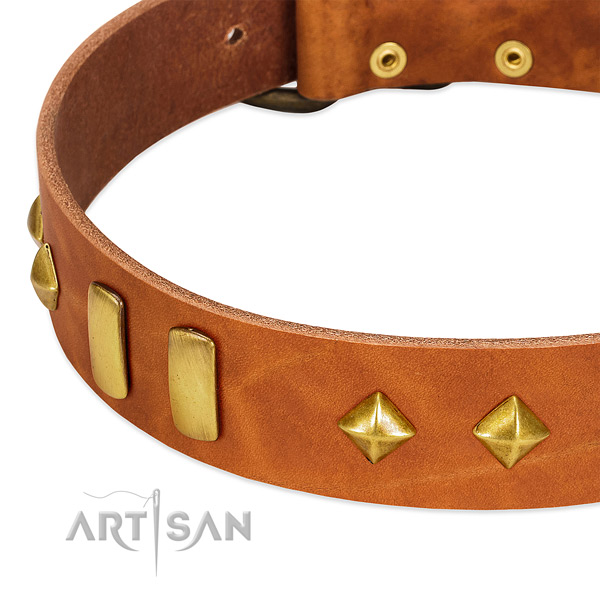 Stylish walking full grain genuine leather dog collar with stylish design adornments