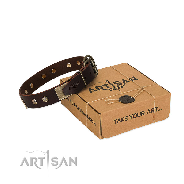Rust-proof decorations on dog collar for handy use