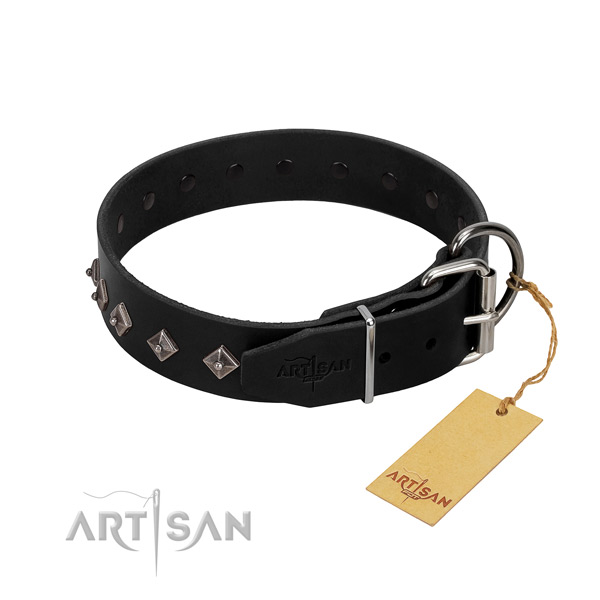 Full grain leather dog collar with stylish design decorations for your canine