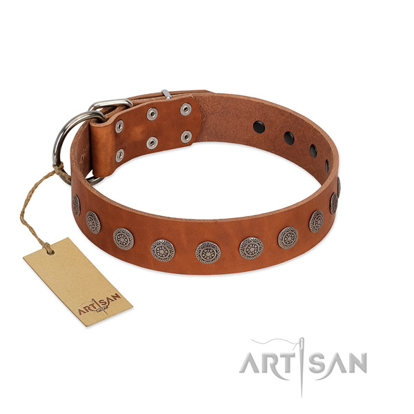 Stunning decorations on full grain leather collar for everyday use your canine