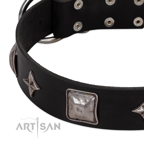 Stylish adorned leather dog collar for daily walking