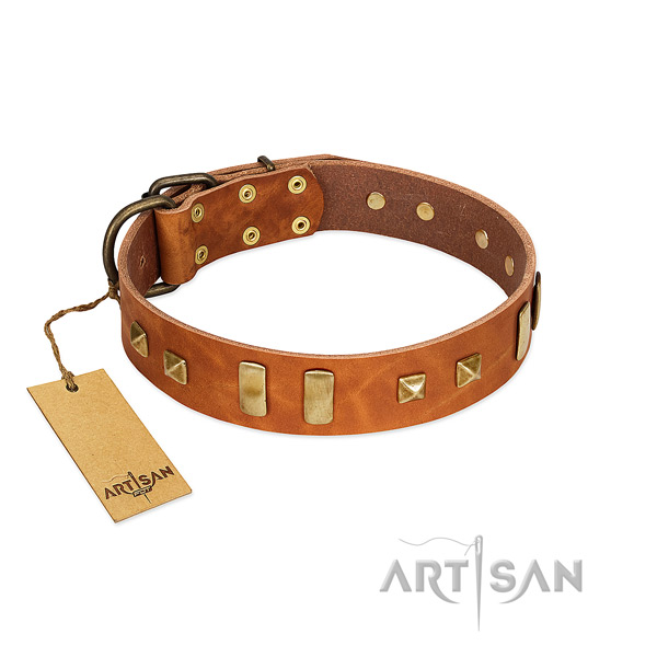 Natural leather dog collar with reliable traditional buckle