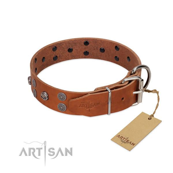 Gentle to touch full grain genuine leather dog collar with embellishments for walking