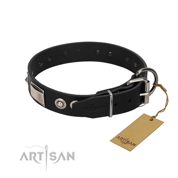 Amazing collar of leather for your canine