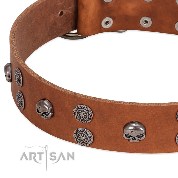 Quality full grain genuine leather dog collar with exceptional studs