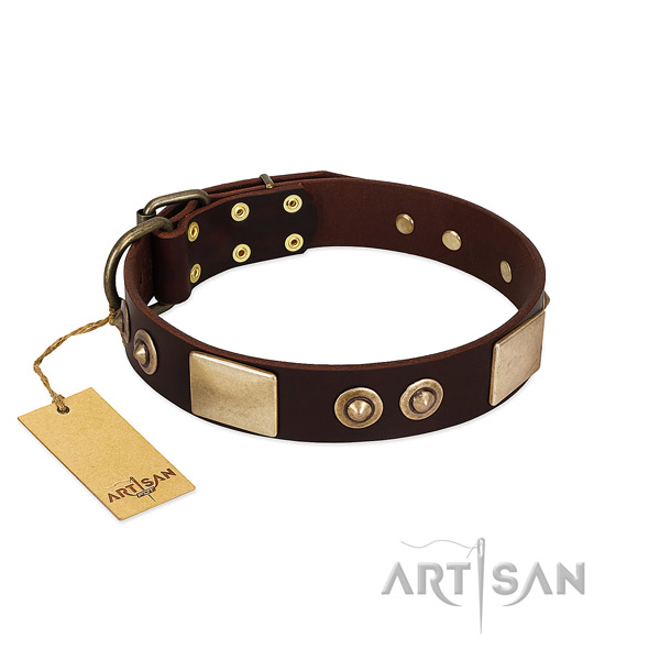 Easy adjustable full grain leather dog collar for stylish walking your canine