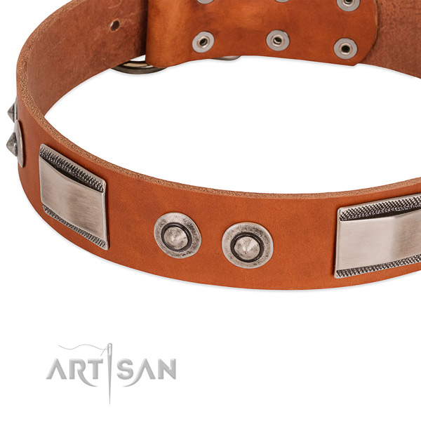 Fine quality genuine leather collar with embellishments for your pet