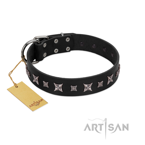 Top notch leather collar for your lovely four-legged friend