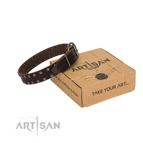 Top rate leather dog collar with decorations for your beautiful pet