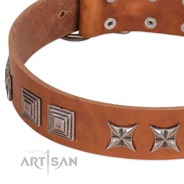 Quality full grain natural leather dog collar with rust-proof fittings