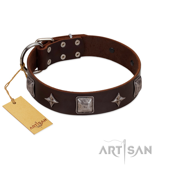 Top-notch full grain leather collar for your lovely four-legged friend