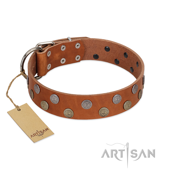 Leather dog collar with top notch adornments for your pet