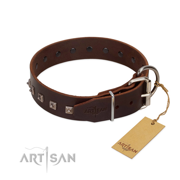 Impressive leather collar for your dog