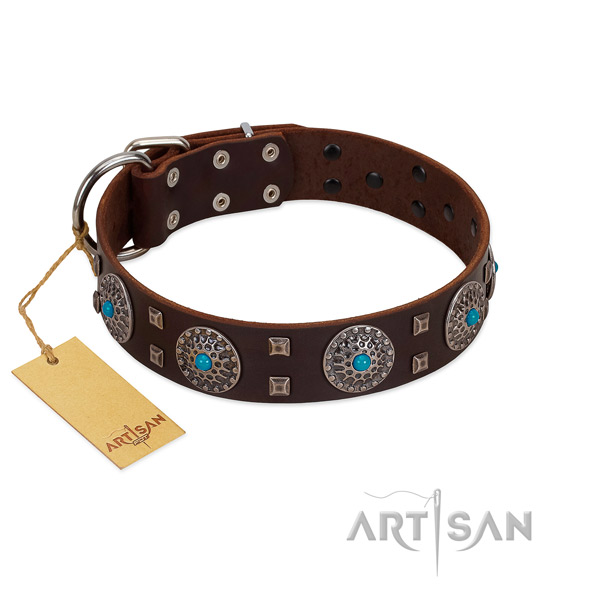 Walking full grain leather dog collar with amazing embellishments