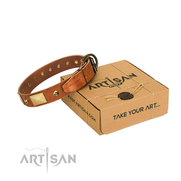 Durable full grain leather collar with rust-proof decorations for your dog